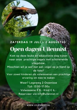 Roofvogels/uilen vliegshow 2 augustus open dag Ossenisse