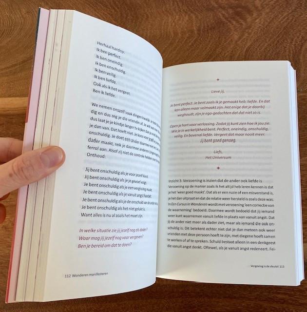 Nieuw | Wonderen manifesteren | Willemijn Welten