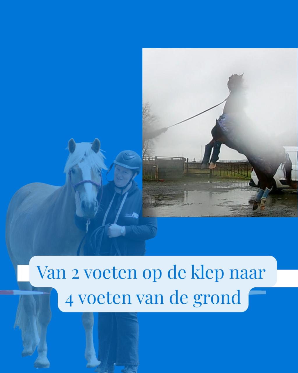 Ze vroeg om een paardentrainer, ze kreeg een coach voor zichzelf