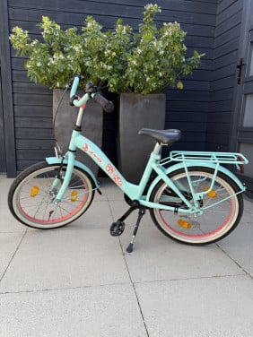 Alpina meisjesfiets 18 inch turquoise met roze velgen