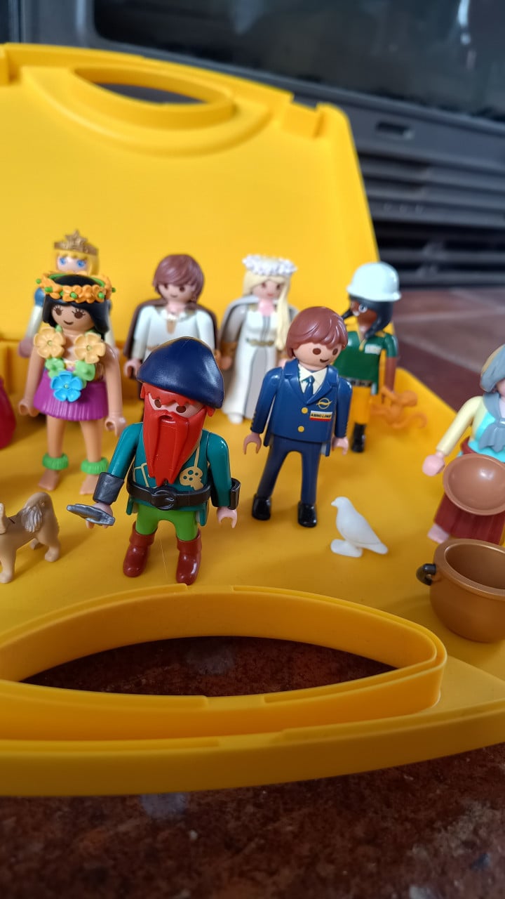 Playmobil set – 10 figuren + hond + accessoires in gele koffer