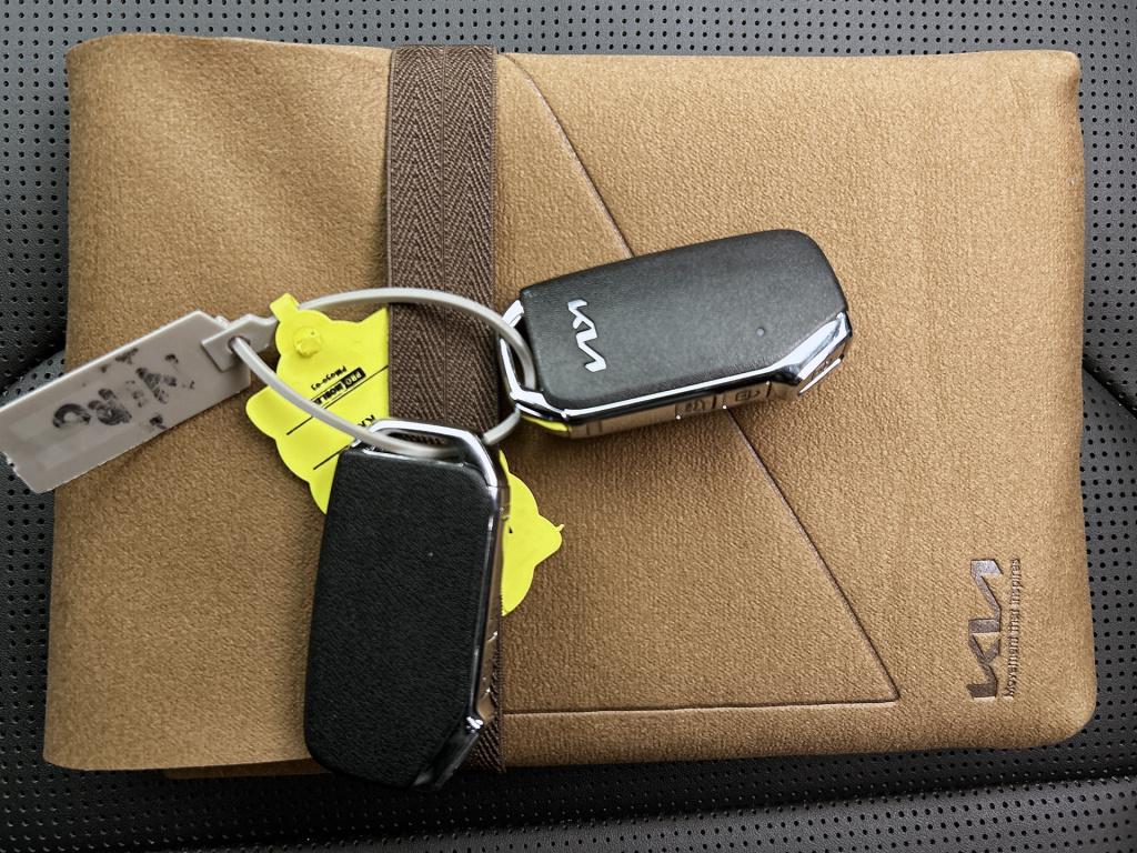 Kia Niro 1.6 gdi hybrid dynamicplusline schuifdak