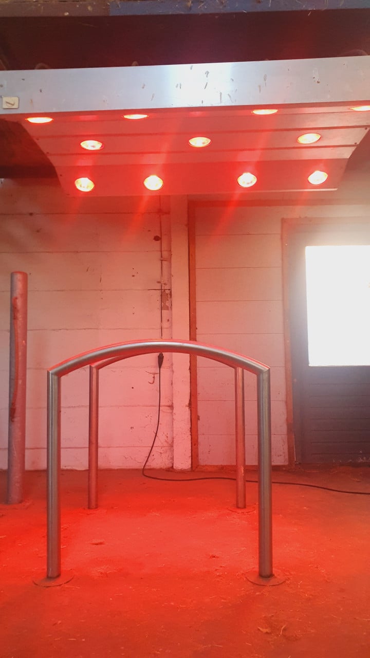 Solarium paarden goede staat