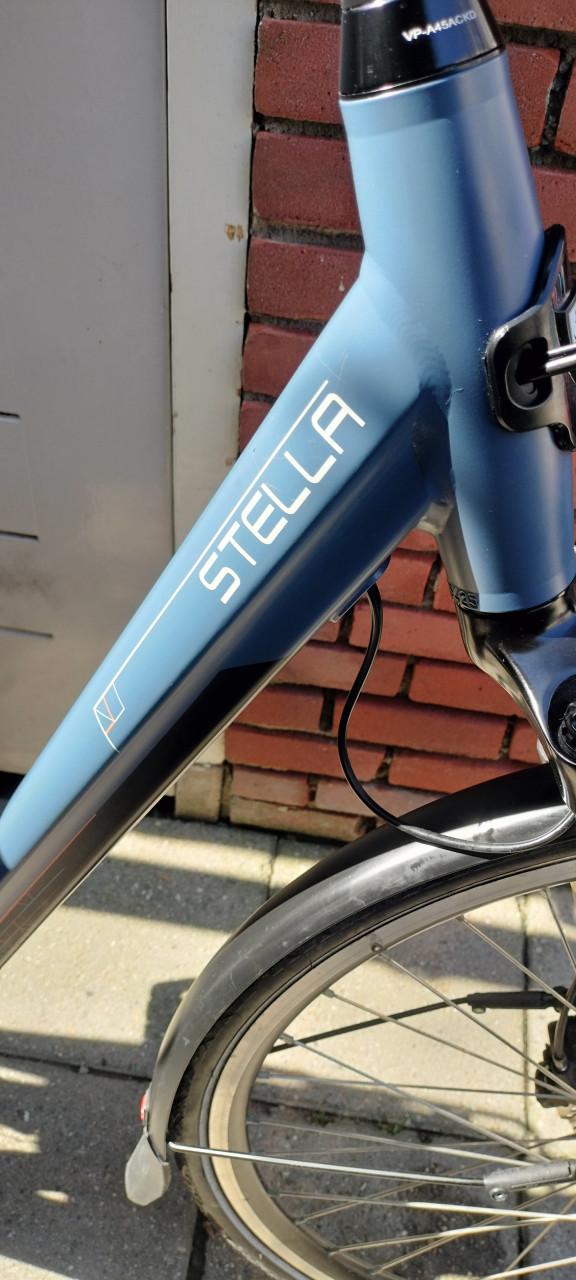 Stella Livorno steps