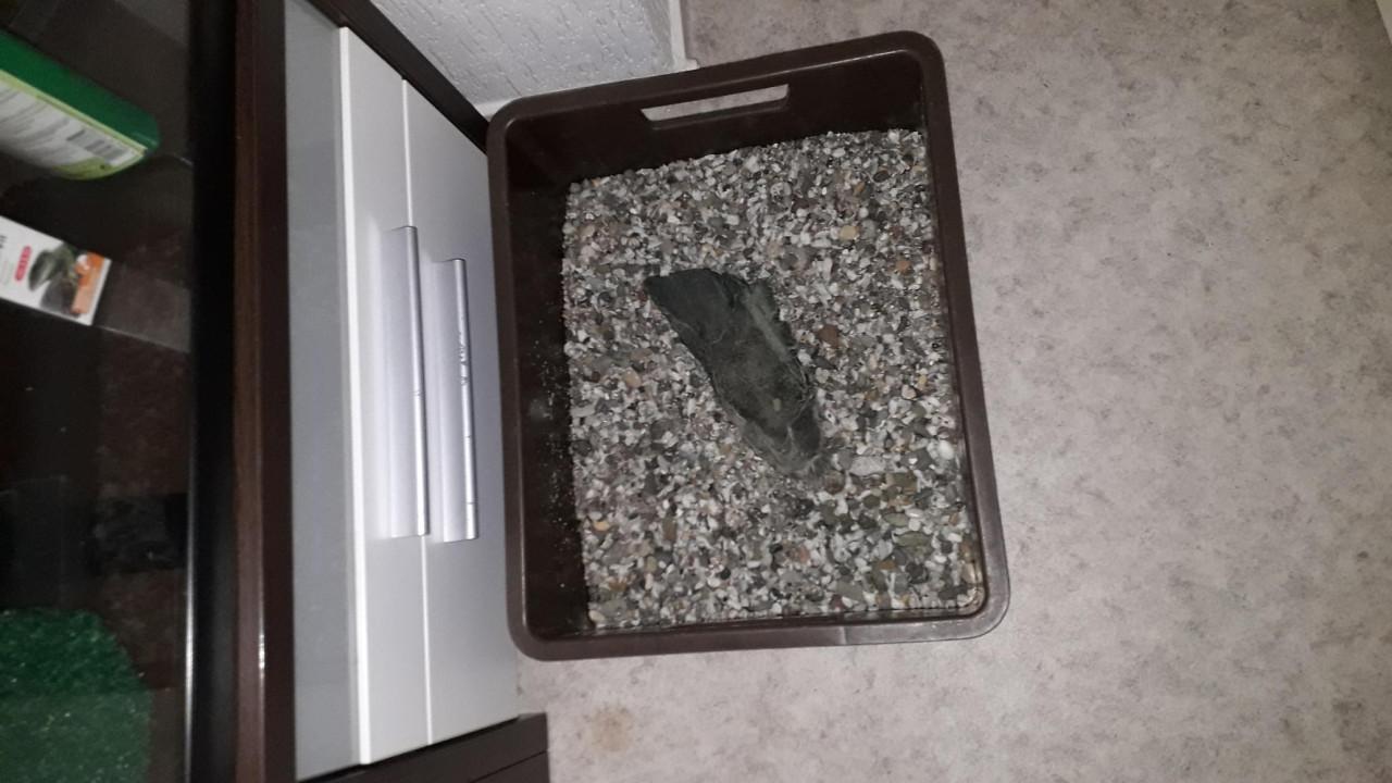 Aquarium voor schildpadden of vissen