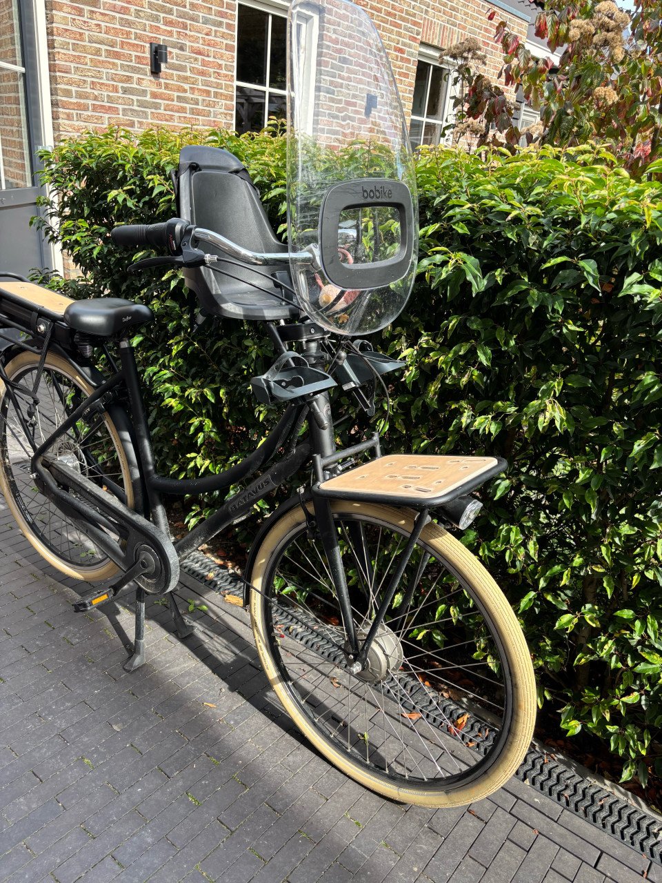 Elektrische dames fiets