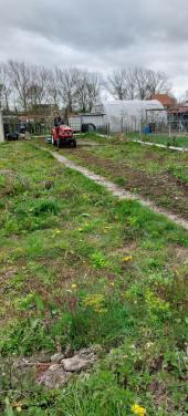 Grond frezen en gras zaaien?