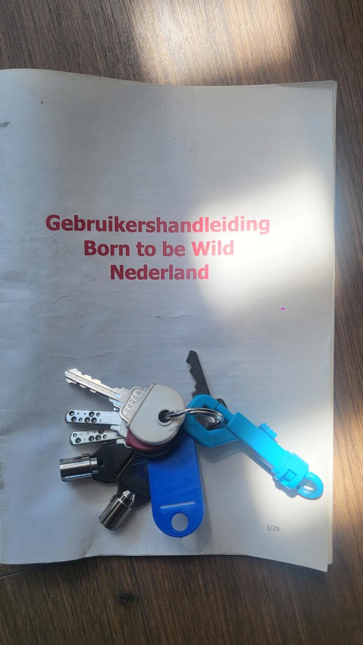 Born to be wild gokkast in topstaat + barkruk