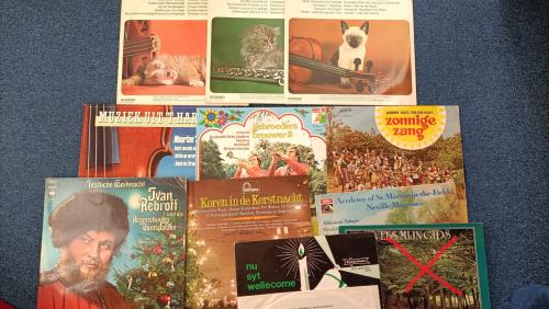 Diverse vinyl platen. Bieden.