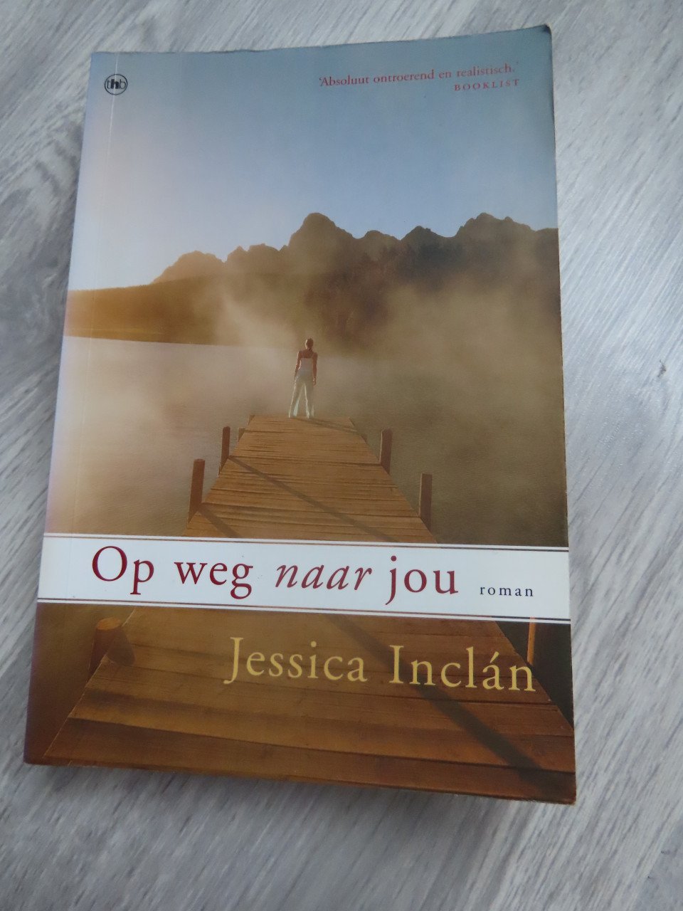 Diverse romans verschillende schrijvers
