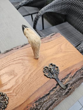 Prachtige antieke boomstam plank met 5 herten poten voor jachtliefhebbers