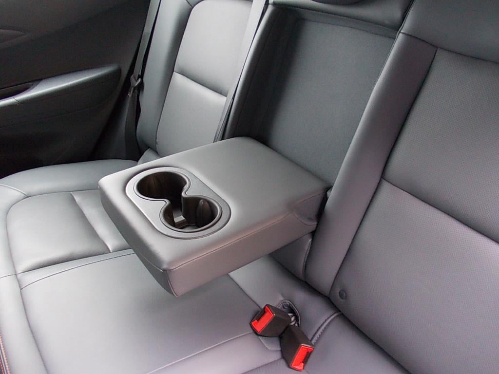 Opel Ampera-e navi, cr.control, leer, stoelverw., stuurverw