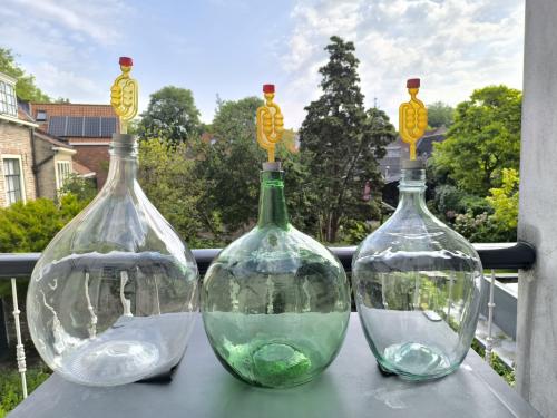 Prachtige set wijnmaakflessen 20+10+5L
