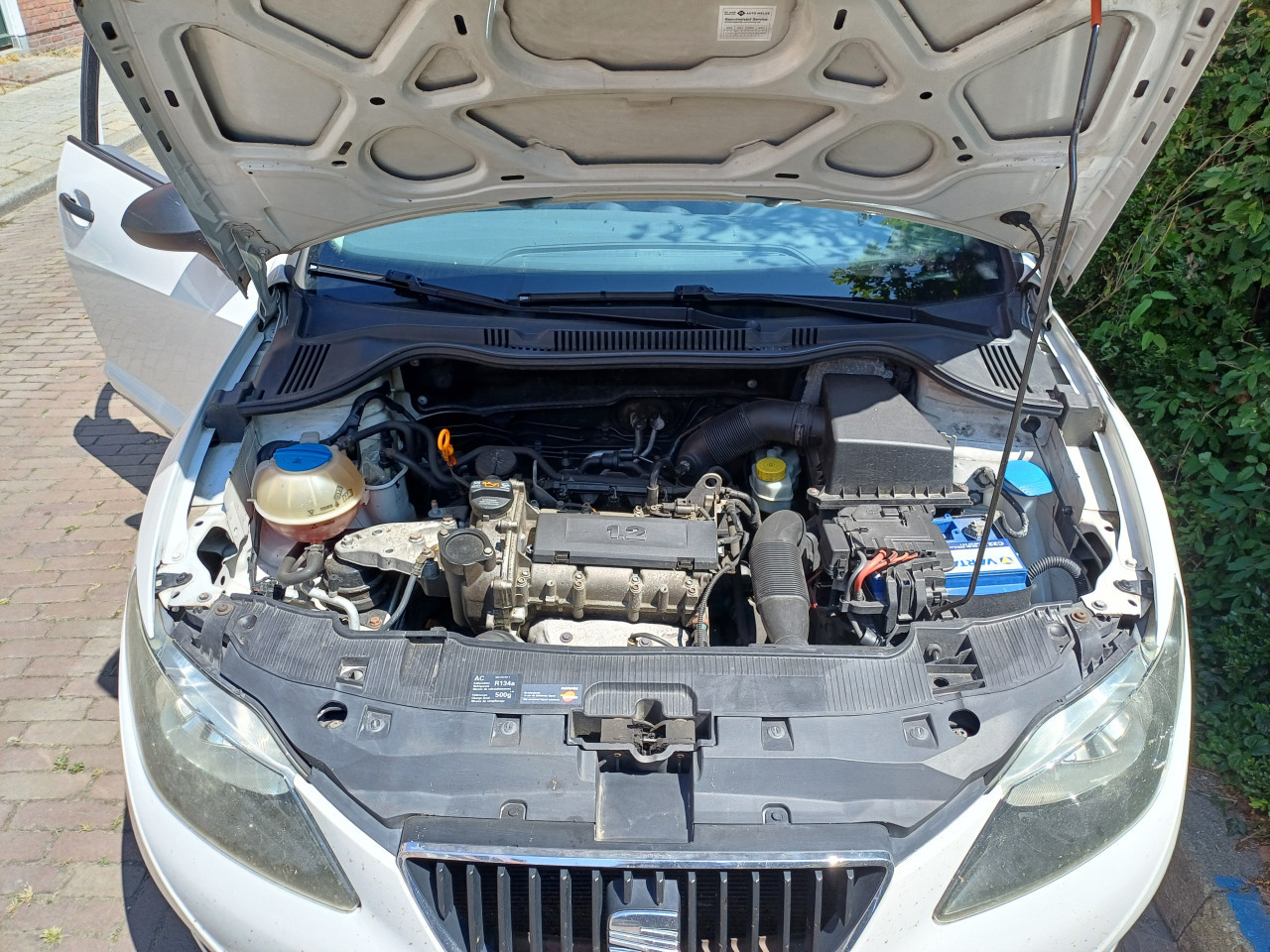 Seat Ibiza 2009