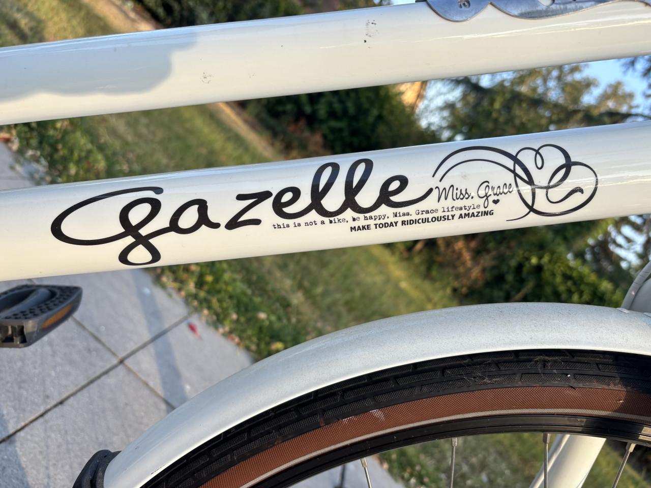 Solide Gazelle miss Grace