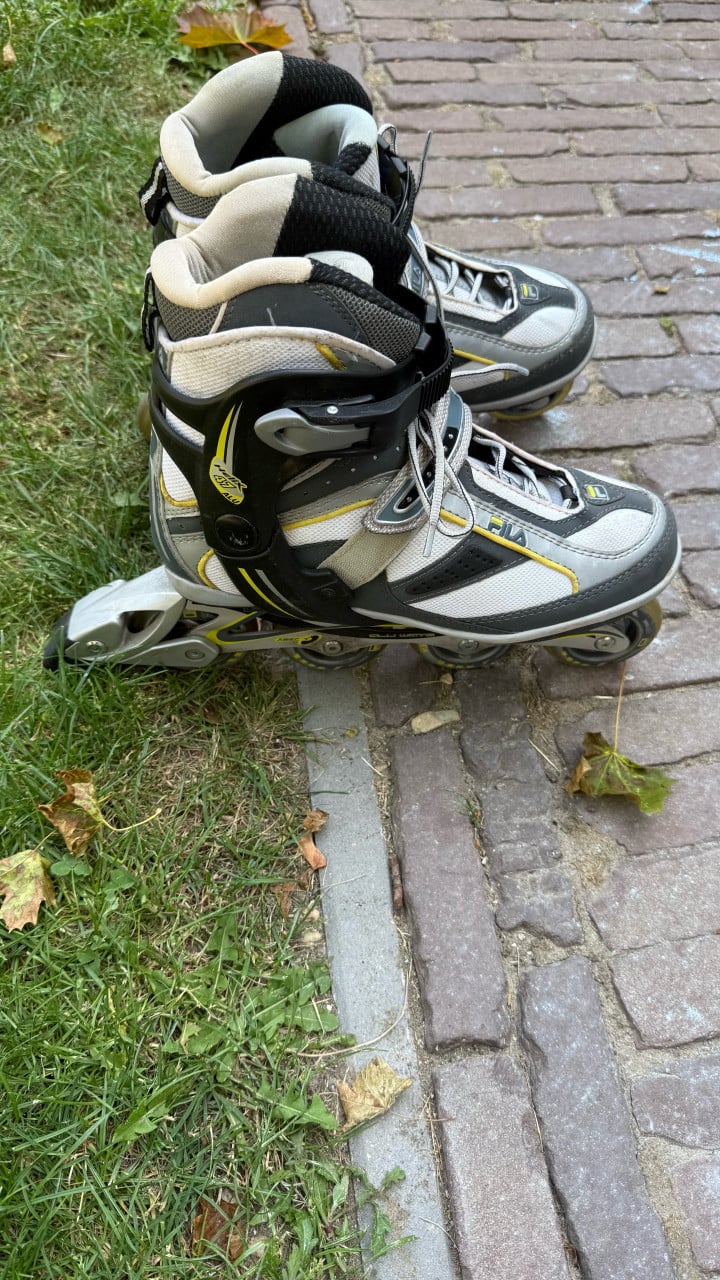 Skeelers