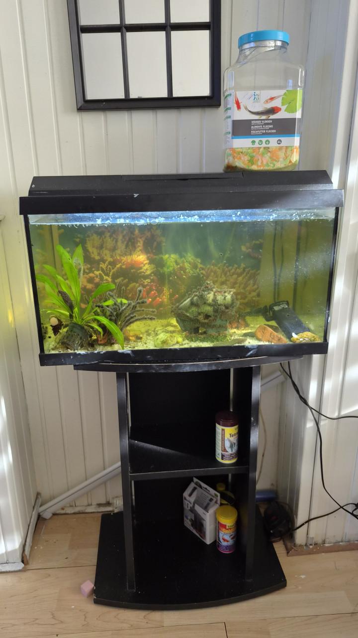 Aquarium