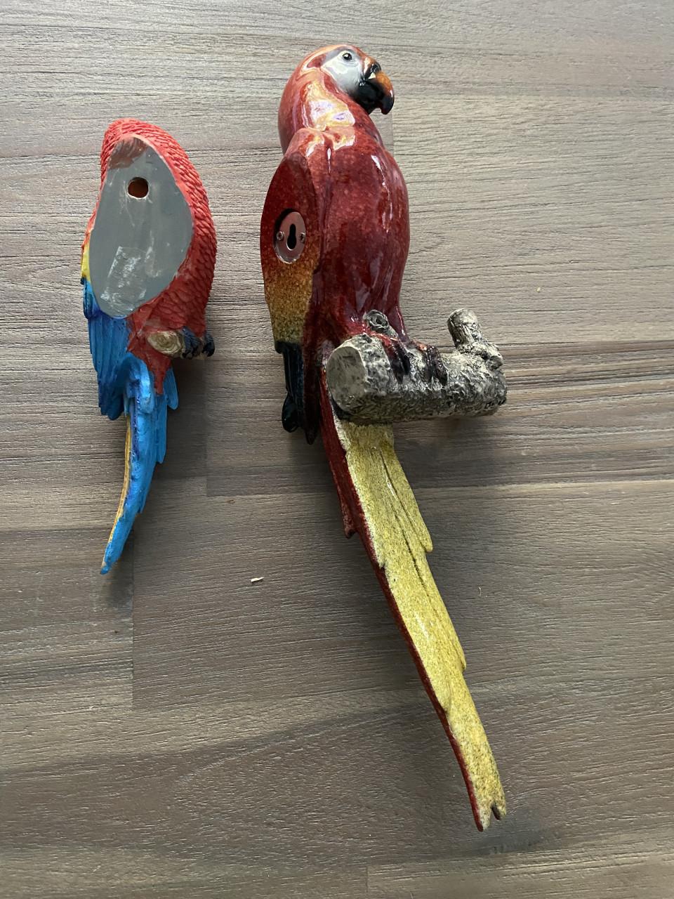 2 leuke papegaaien voor aan de muur