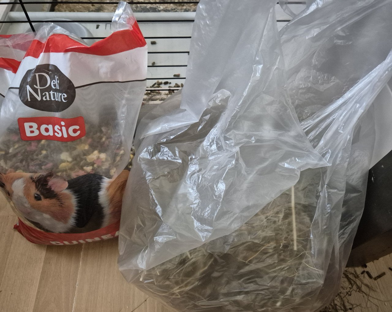 2 cavia's vrouwtjes + kooi
