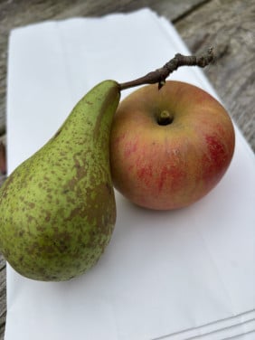 Appels & peren, vers uit eigen tuin