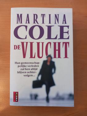 De vlucht