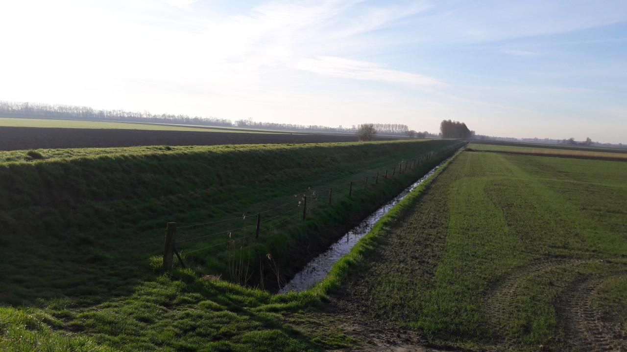 Te huur: weide met schuilstal