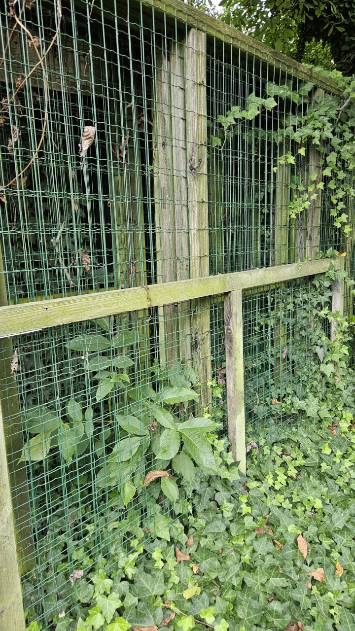 Hekwerk