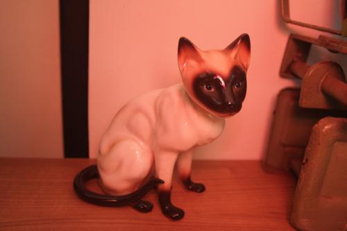 Siamese kat v porcelein