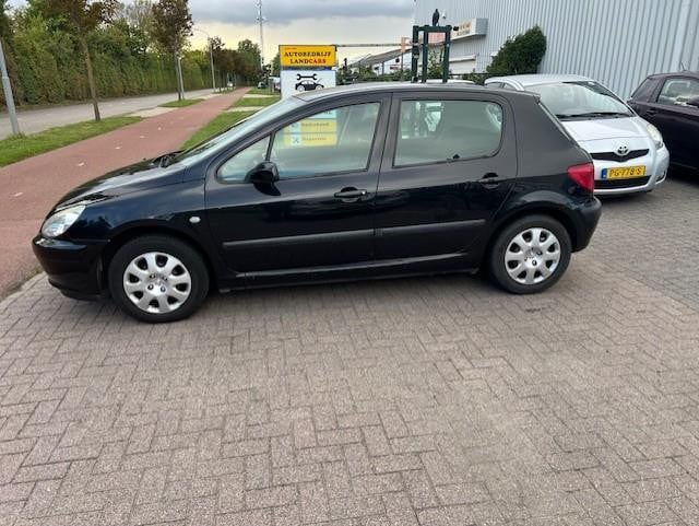 Peugeot 307 1.6-16v xs