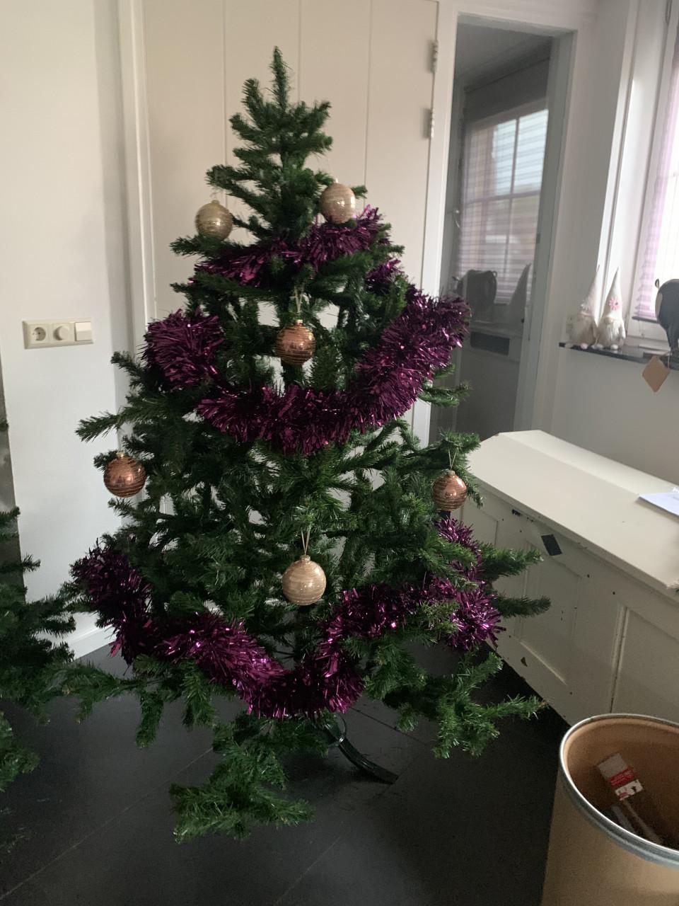Kerstboom 1.70