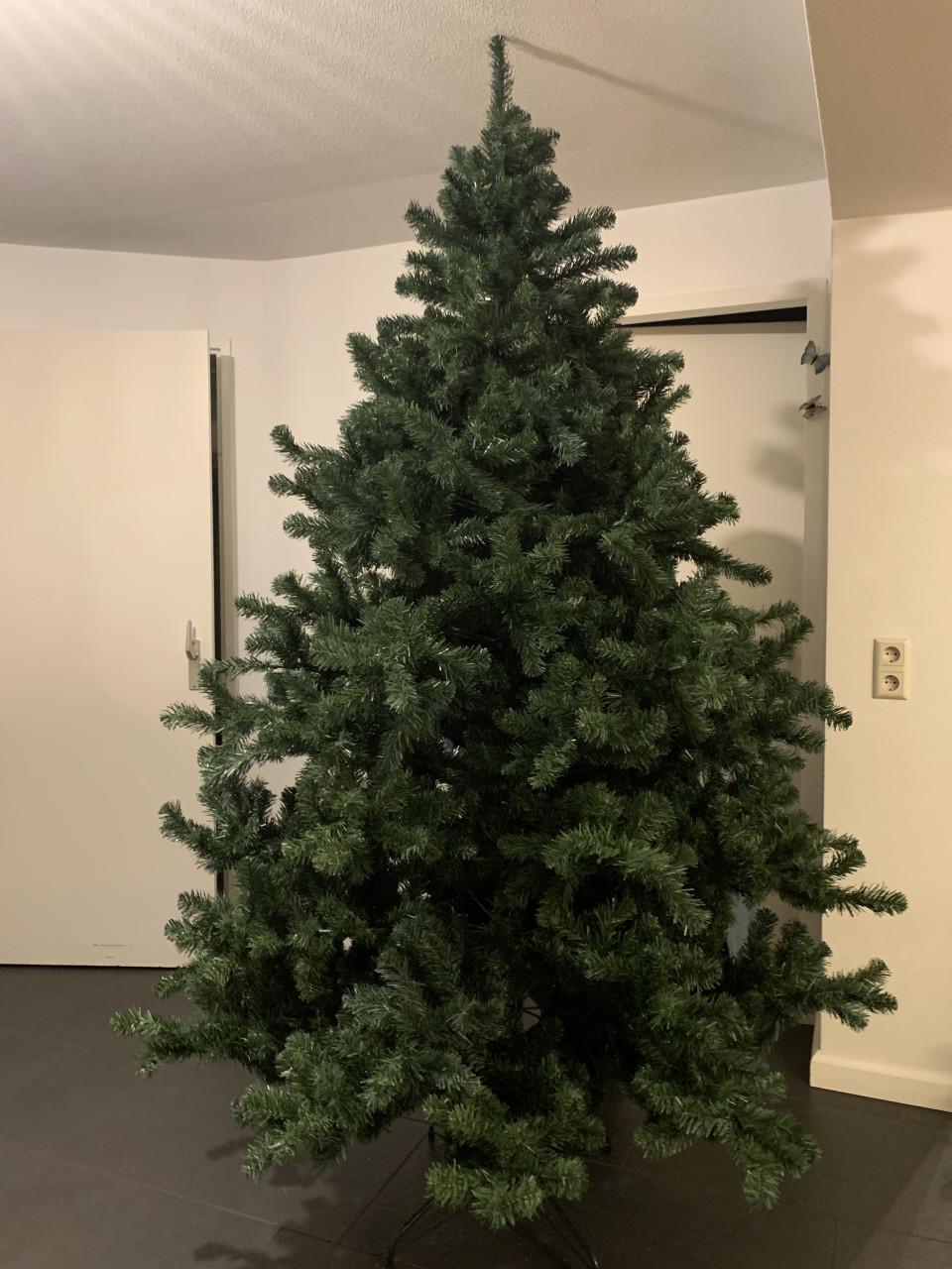 Kerstboom 2.40  m hoog  1.45 m breed