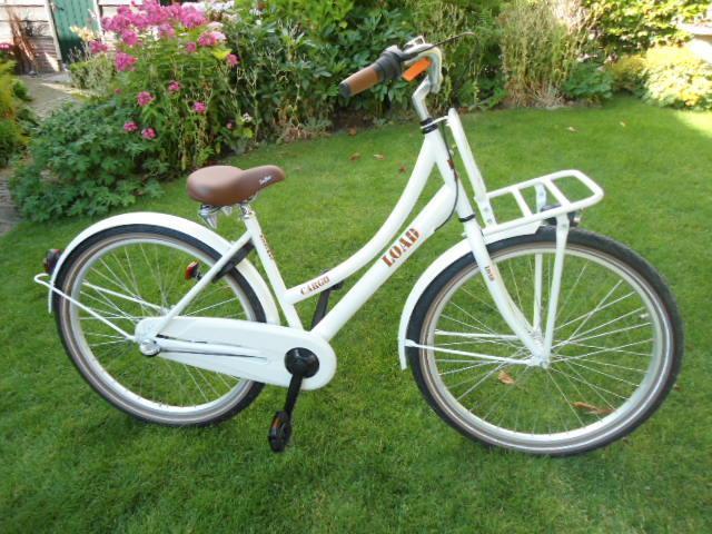 NIEUW Trendy Bike Fun Load 26 inch 3 versnellingen