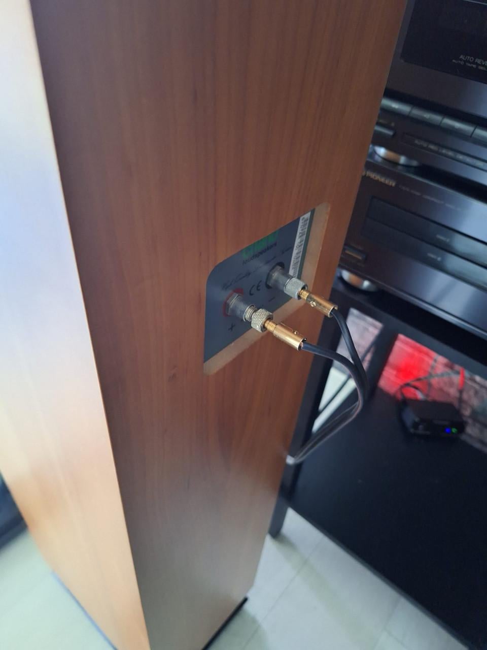 Chario Syntar 100T vloerspeakers – mooi warm en vol geluid