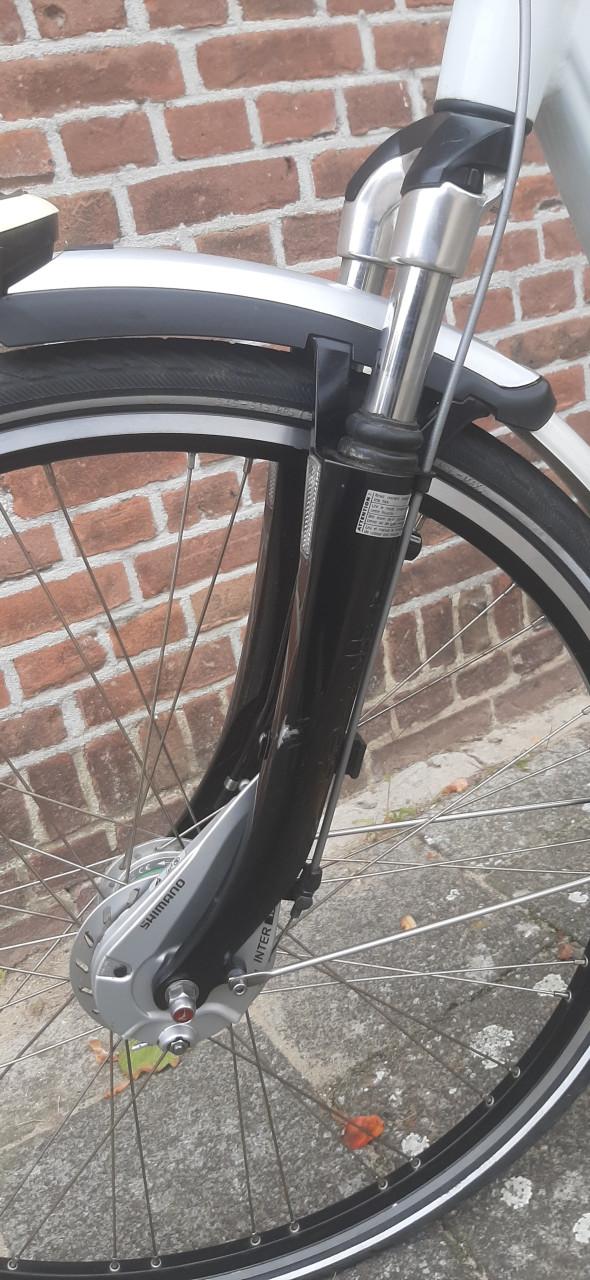Gazelle Medeo
