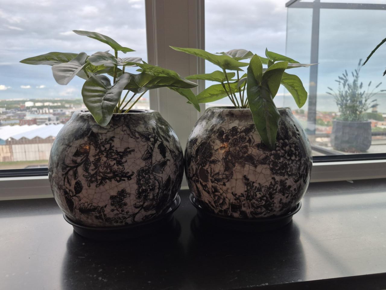 Prachtige serie bloempotten (PTMD) inclusief planten