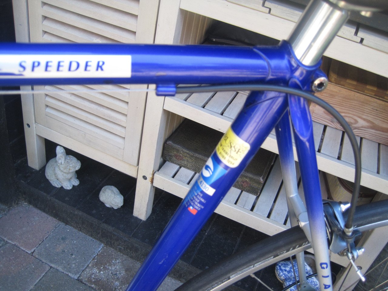 Racefiets Giant staal
