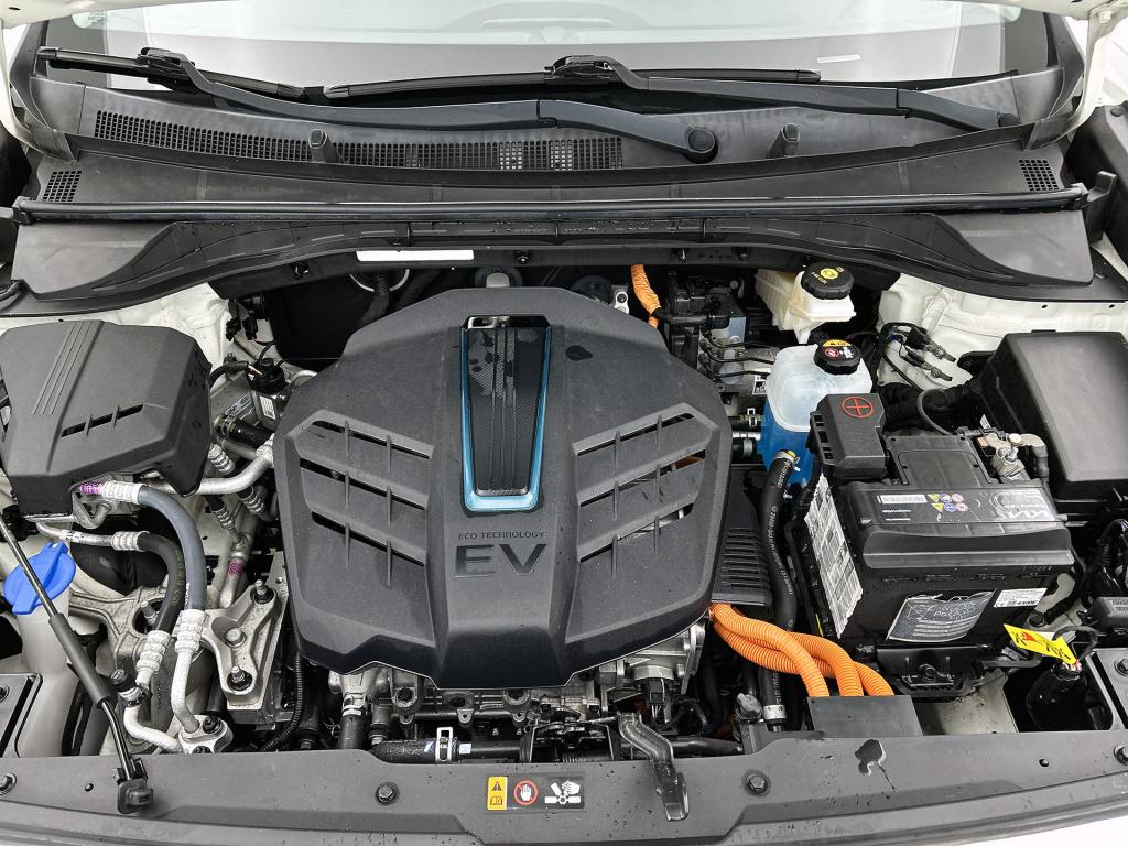 Kia E-niro executiveline 64 kwh fietsendragerbeugel | stoel/stuurwielverwar