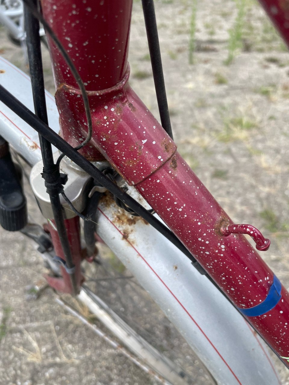 Gazelle fiets