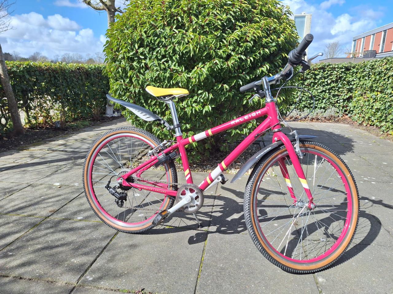 Mountainbike meisje Raleigh