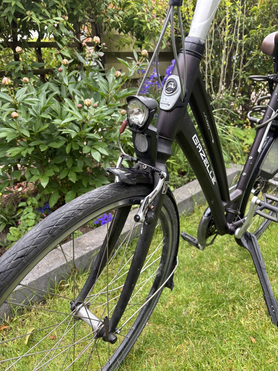 Gazelle Fuente extra dames fiets