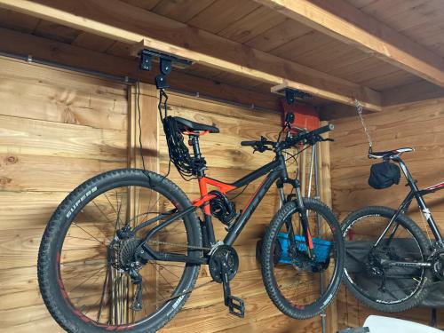 Bulls MTB