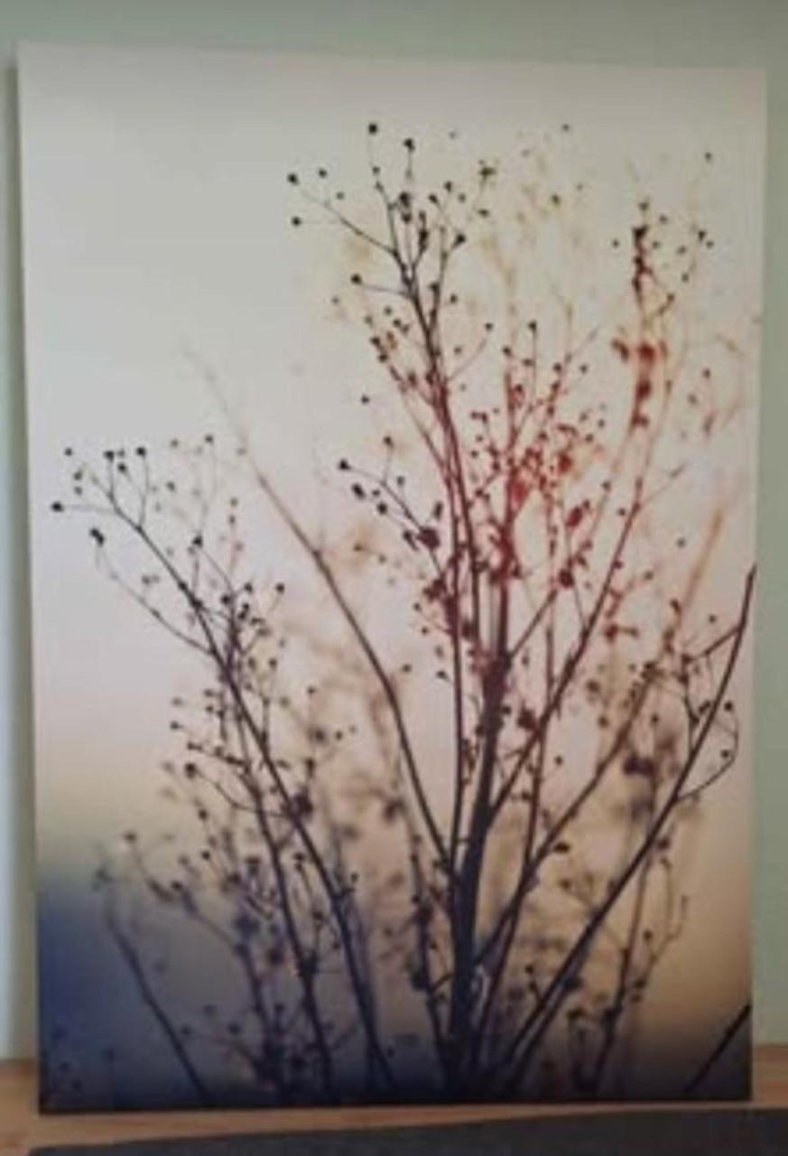 Canvas schilderij natuur 70x100 cm