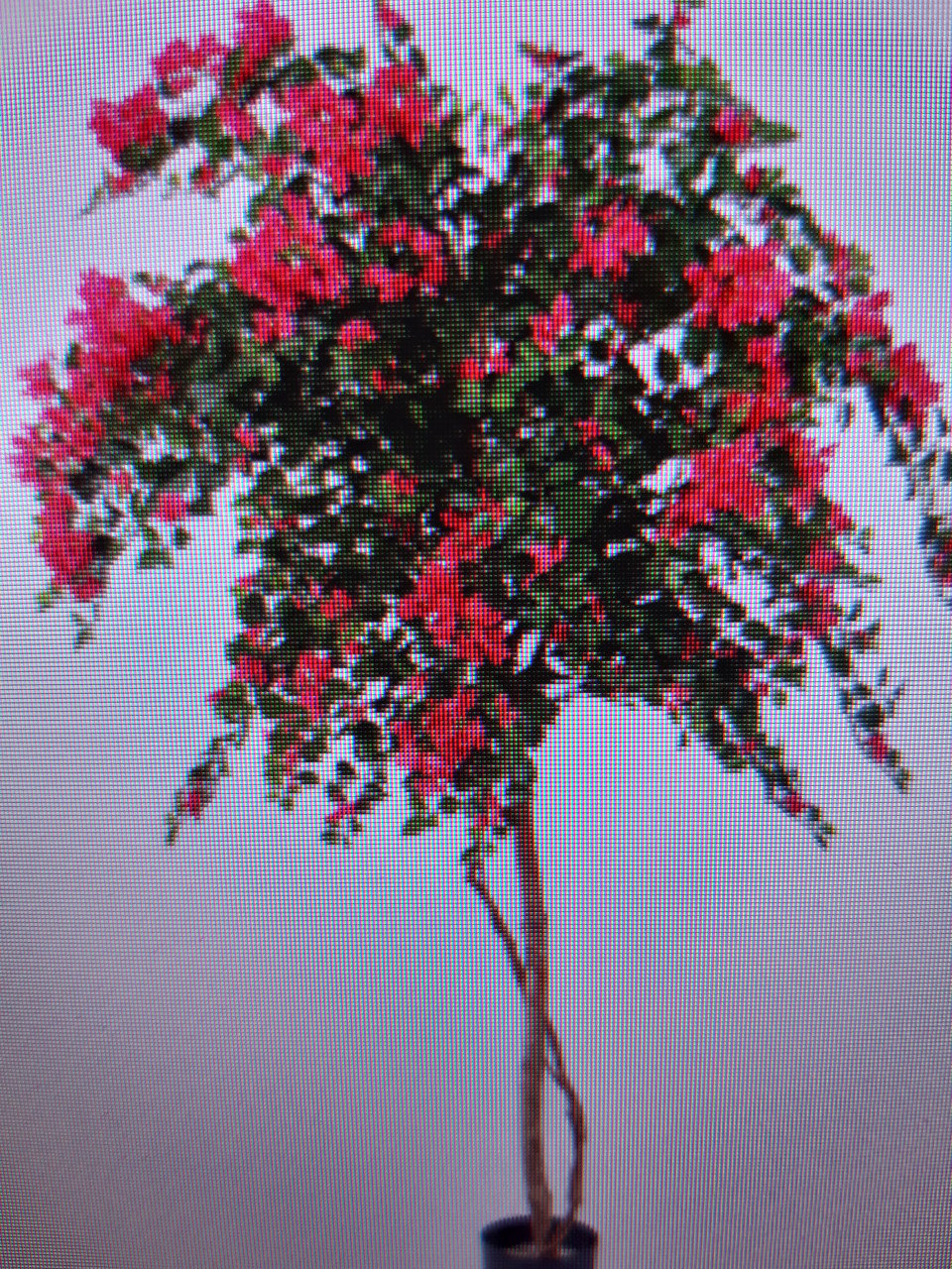 KUNSTBOMEN - PLANTEN - BLOEMEN