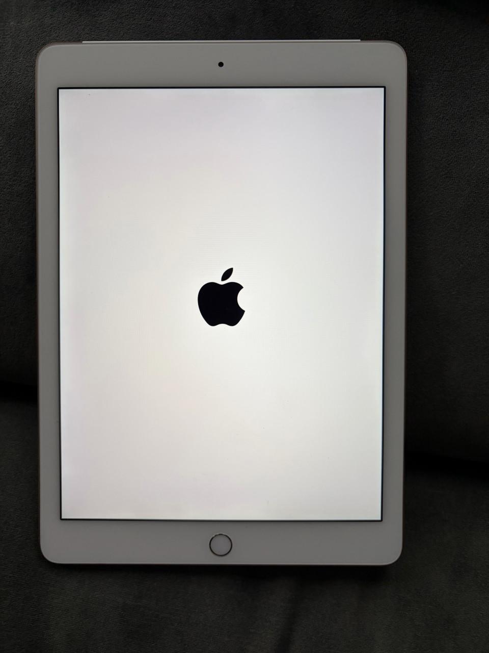 Apple iPad Air 2 (model A1567, Wi-Fi + Cellular) - Wit