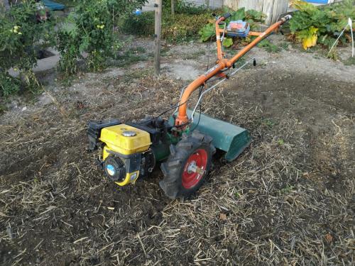 Frees mtz motor