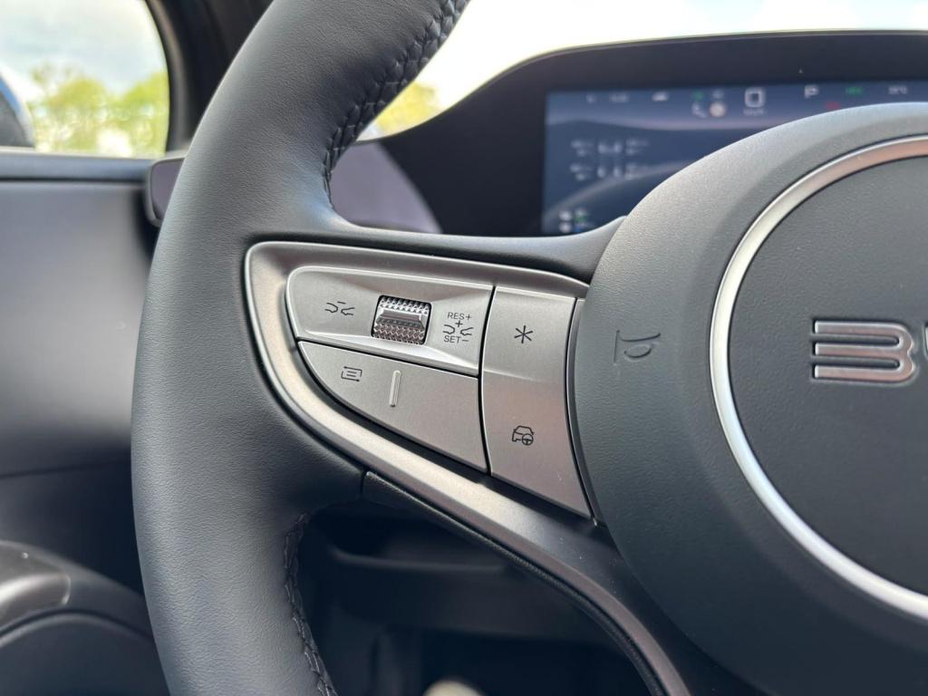 Byd Dolphin g 1.5l dm-i boost