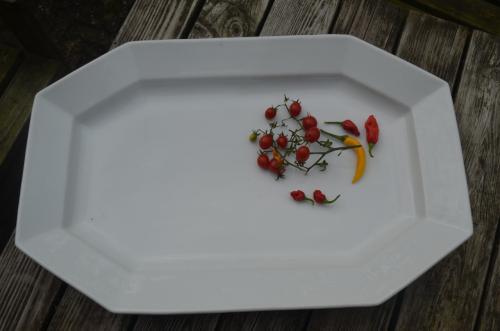 Enorme 8-kantige aardewerk schaal / schotel ipst