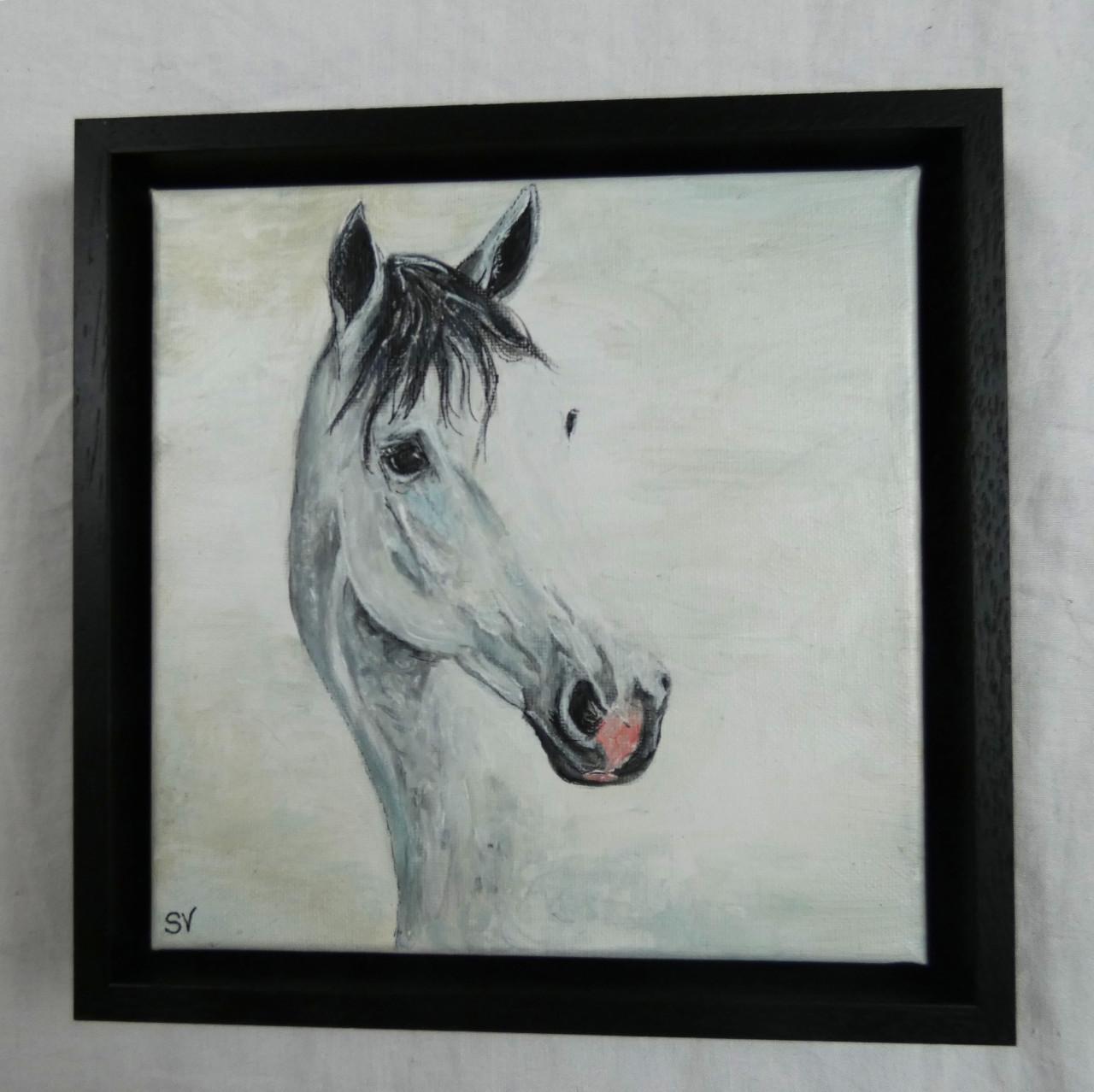 Portret van je favoriete huisdier - KENNISMAKINGSTARIEF FEBRUARI!!