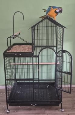 Vogel/papegaaien villa izgst