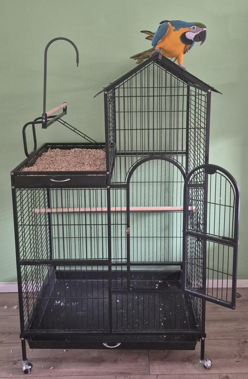 Vogel/papegaaien villa izgst